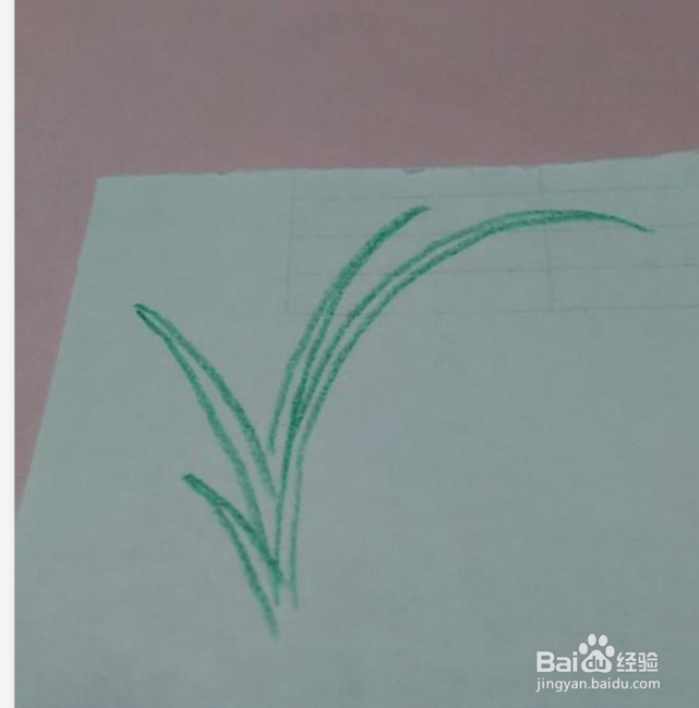 简笔画一朵兰花