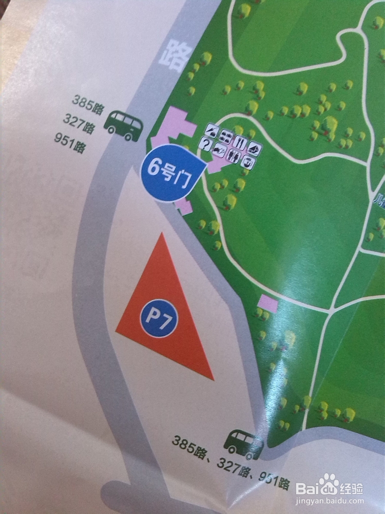 玩转园博园,10月11日-11月18日