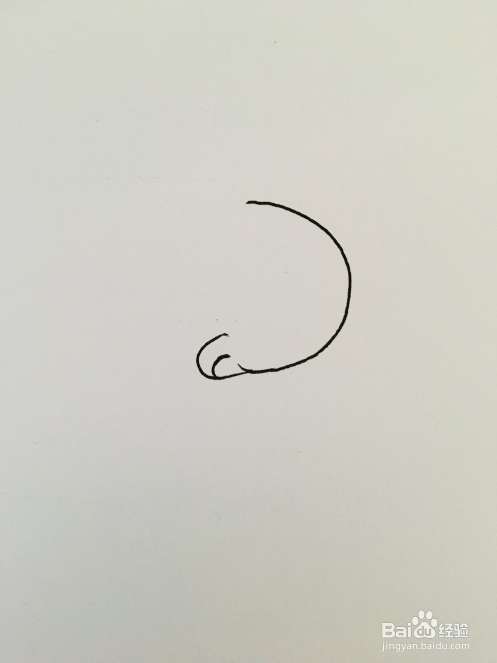 幼儿简笔画动物：小白兔的画法