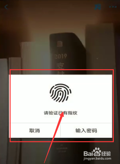 支付宝怎么查询年度账单