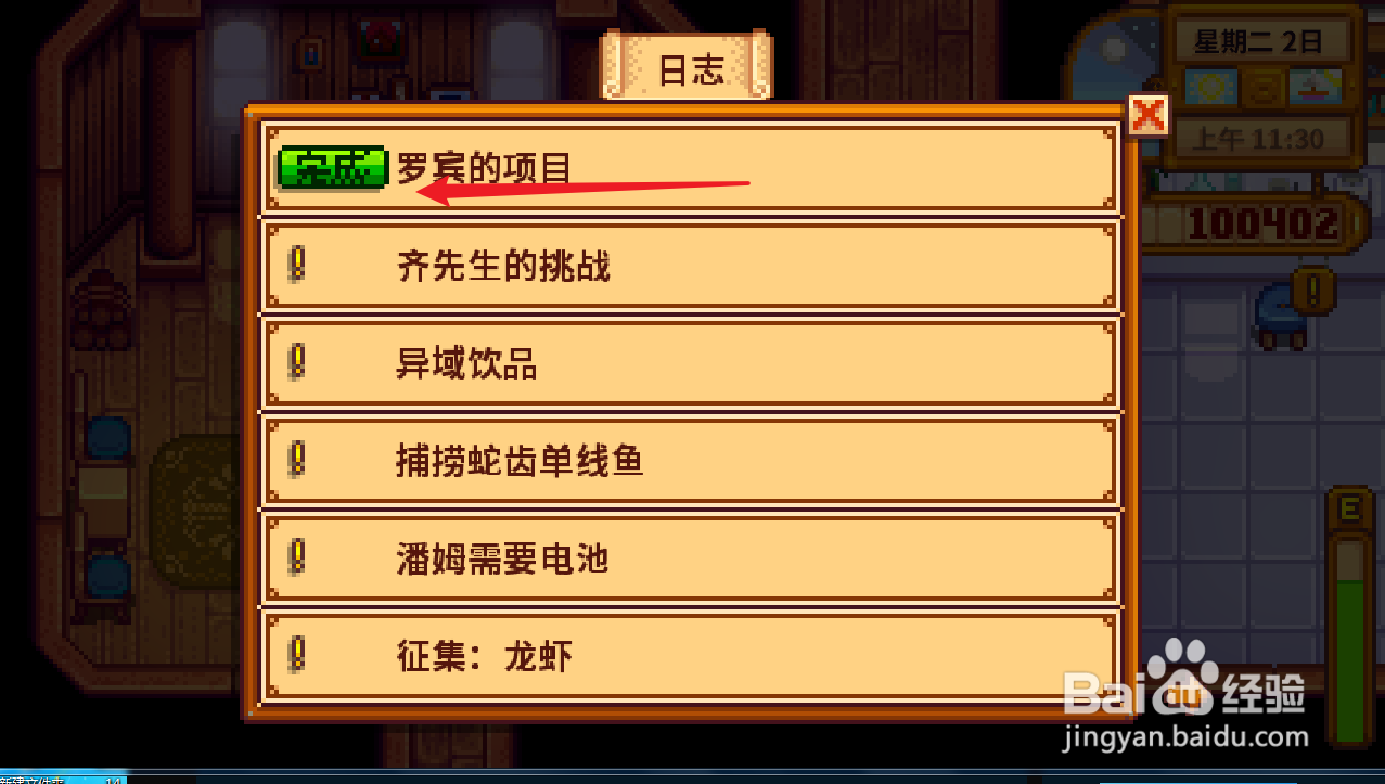 星露谷物语“罗宾的项目