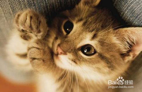 日用品的更换周期