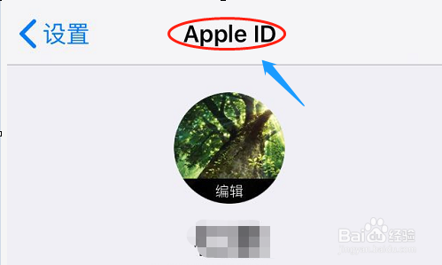 如何把iCloud里面的照片导出来