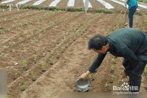 解决耕地土壤存在问题的措施