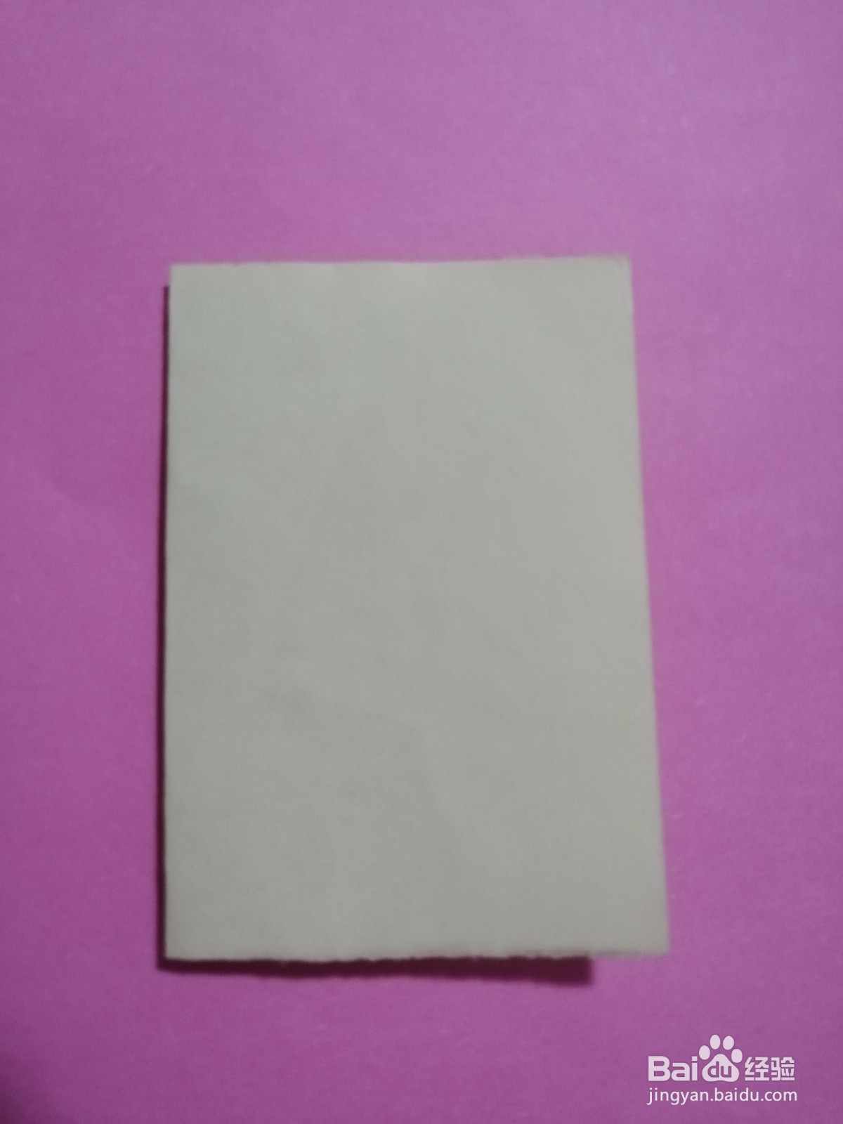 简单的龙虾怎么剪