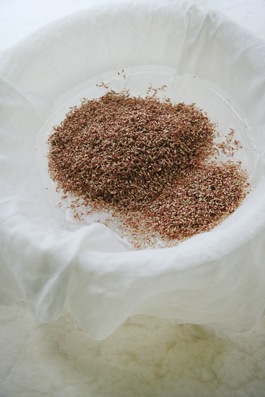 花生红糖木莲冻