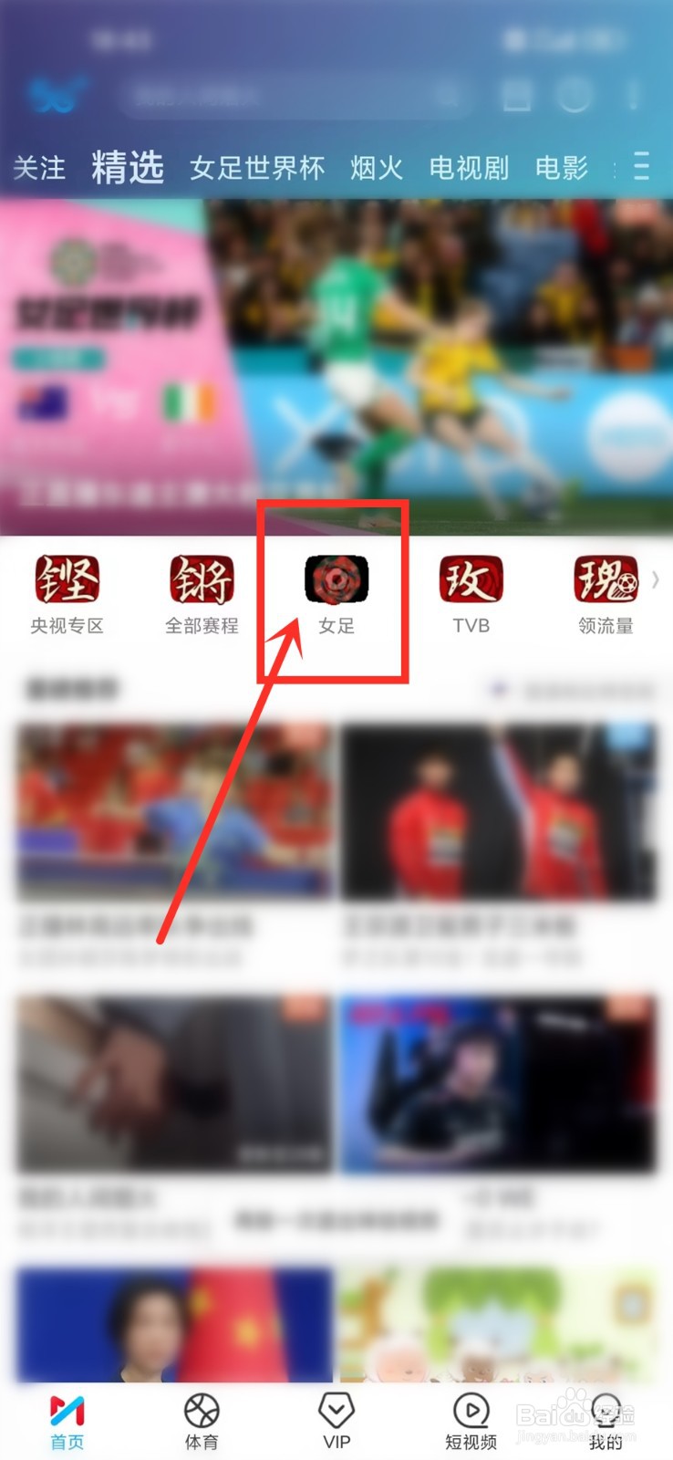 女足世界杯2023直播回放哪里可以看到
