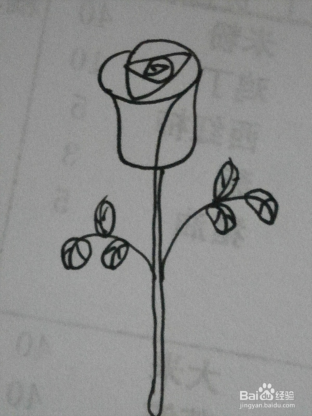 简笔画一枝玫瑰花的画法