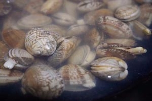 花甲丝瓜汤怎么做才美味好喝
