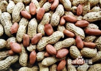 吃哪些食物可以催乳