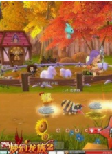 梦幻龙族怎么卡