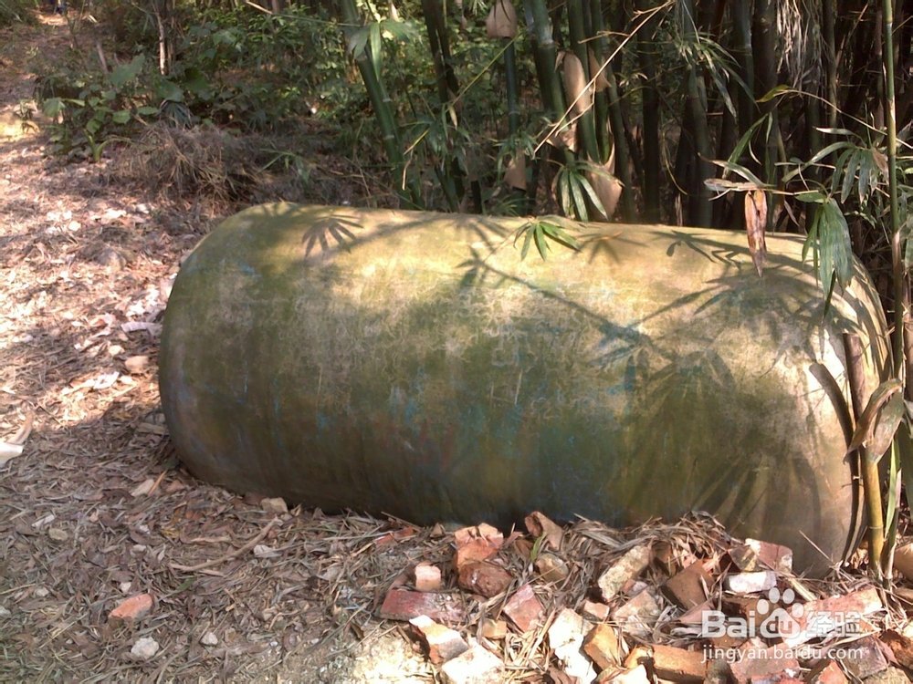 广州火凤线攻略