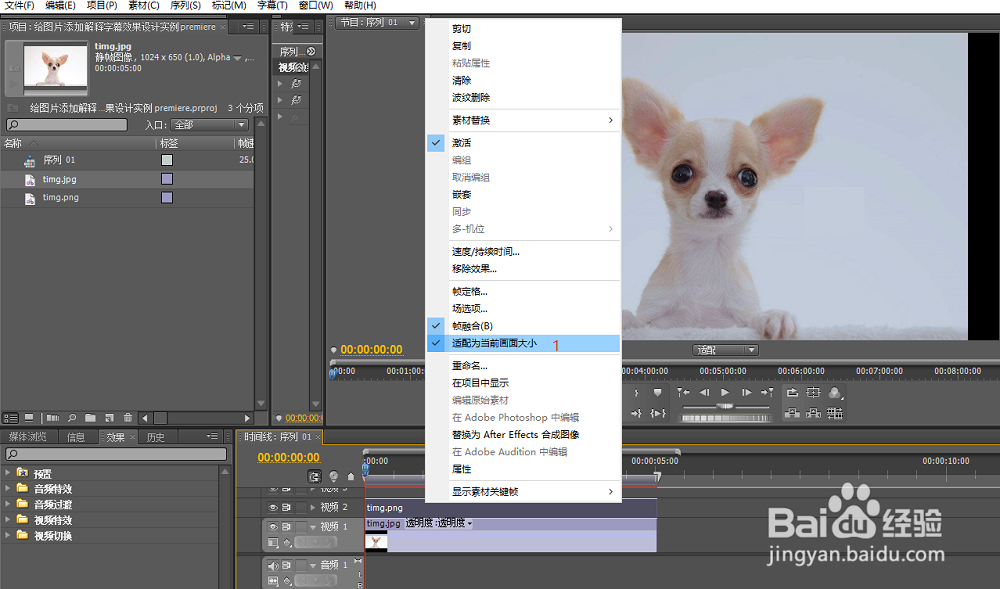 给图片添加解释字幕效果设计实例premiere