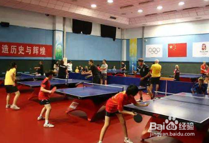 新手该怎么样学习乒乓球