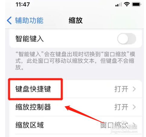 iphone手机如何开启切换缩放区域功能