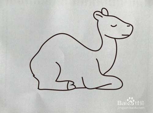 如何画卧着的骆驼简笔画