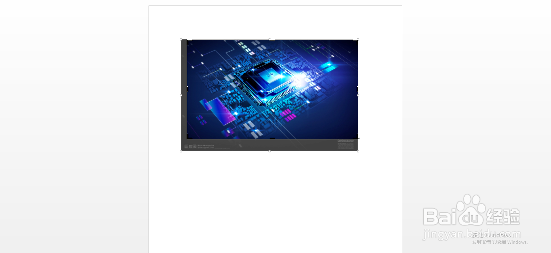 WORD中如何设置裁剪图片