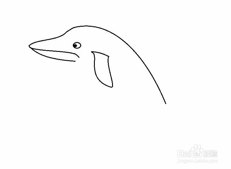 简笔画海豚的画法