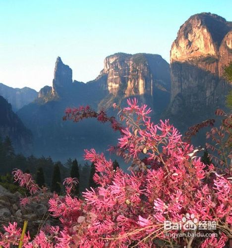 十一安全出行神仙居旅游攻略