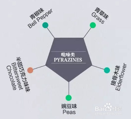 葡萄酒的风味来源