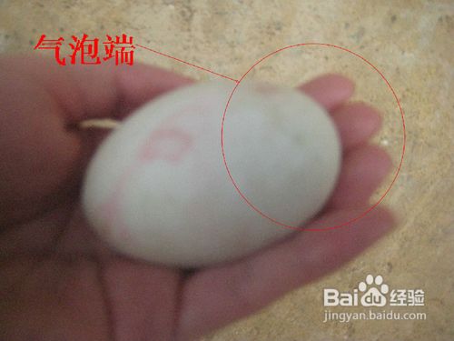 怎样剥鸭蛋外壳