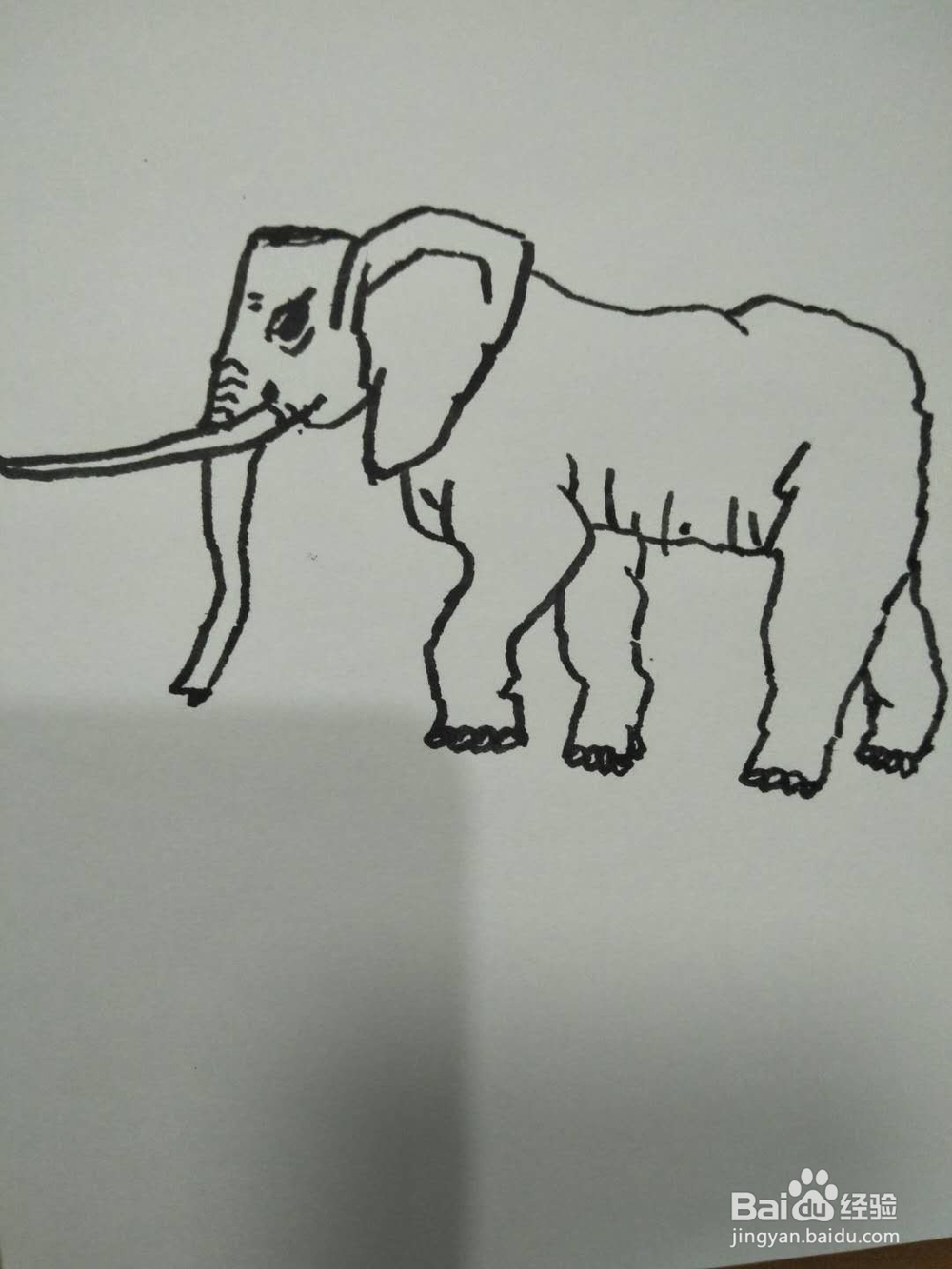 简笔画之大象侧面