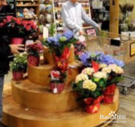 七夕怎么卖玫瑰花