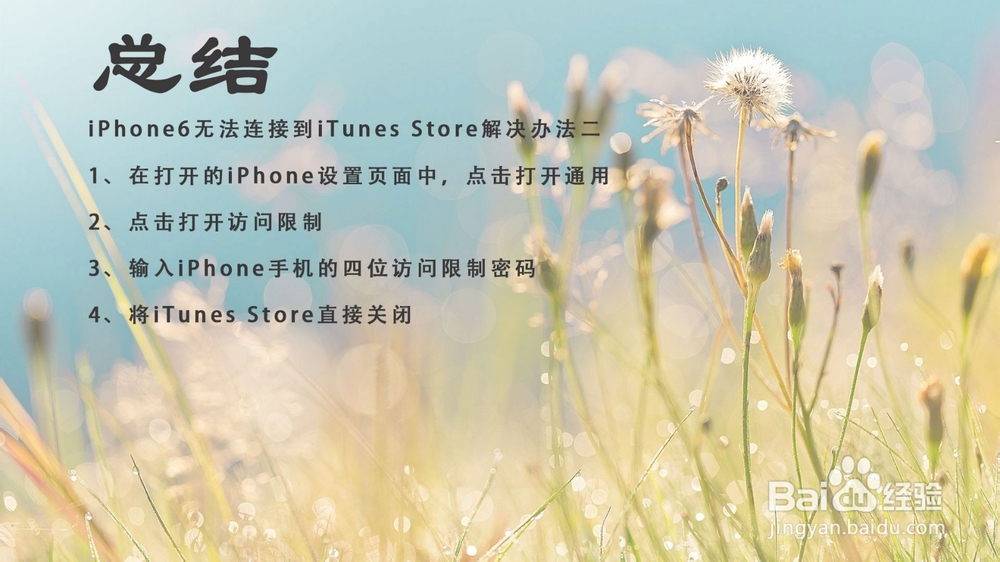 iPhone6无法连接到iTunes Store解决办法