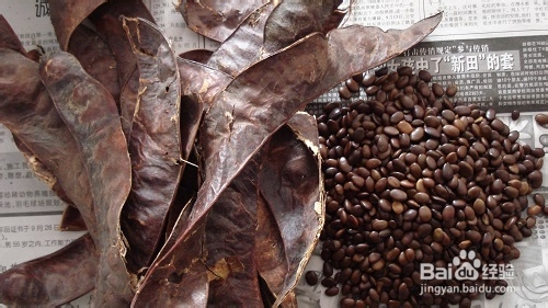 孕妈咪做家务需谨慎