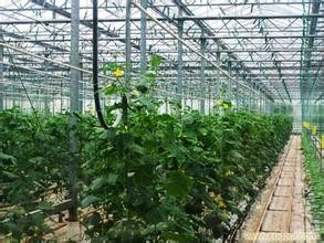 生活小细节中的大智慧