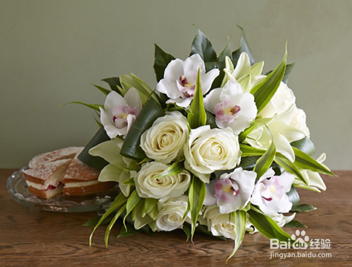 早春花作，如何搭配更出彩？