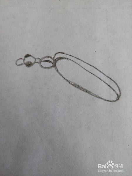 甲虫的另一种画法