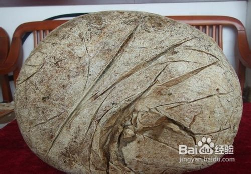 太岁肉灵芝收藏价值