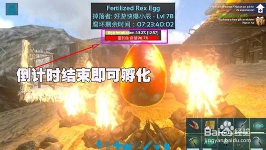 方舟手游怎么孵蛋