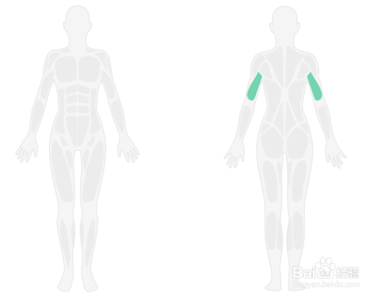 俯卧撑入门锻炼