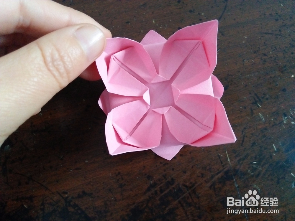 简单的荷花怎么折