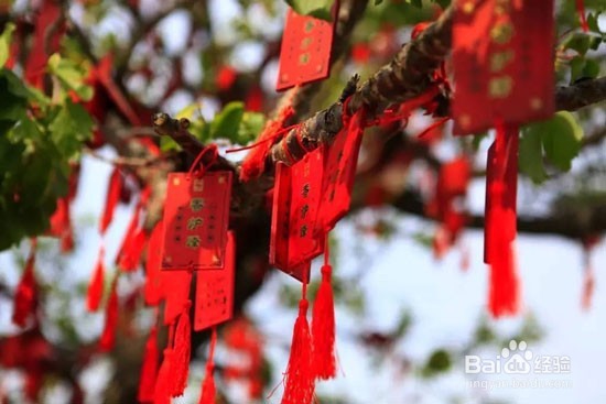 五一岳阳旅游最佳去处？