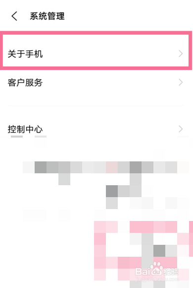 iqooneo5的开发者选项在哪里