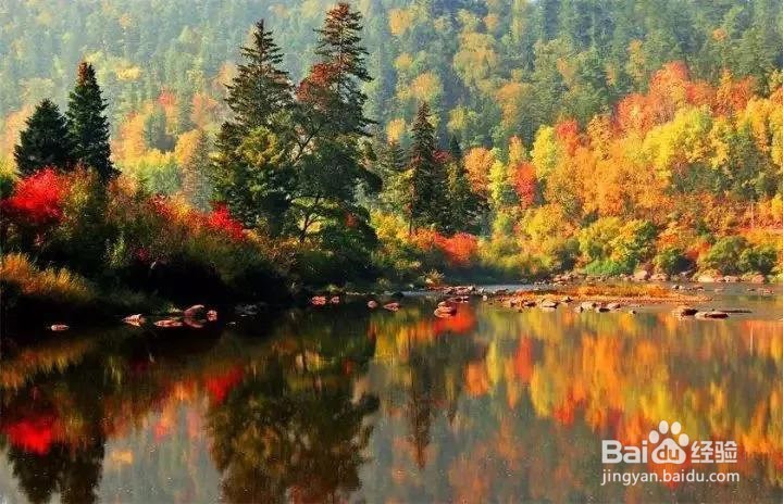 南京秋天旅游攻略