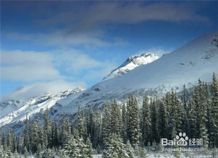 文山三七,这些问题不知道的点击查看