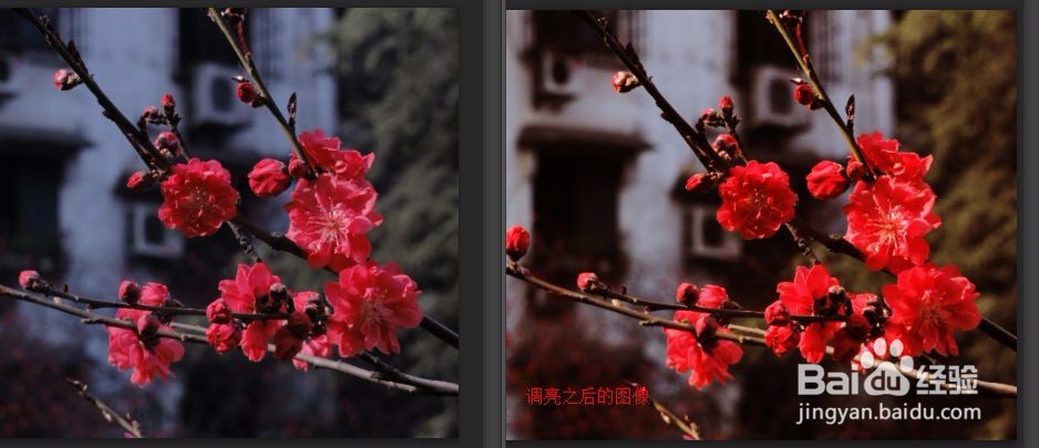 photoshop的曲线调色怎么使用