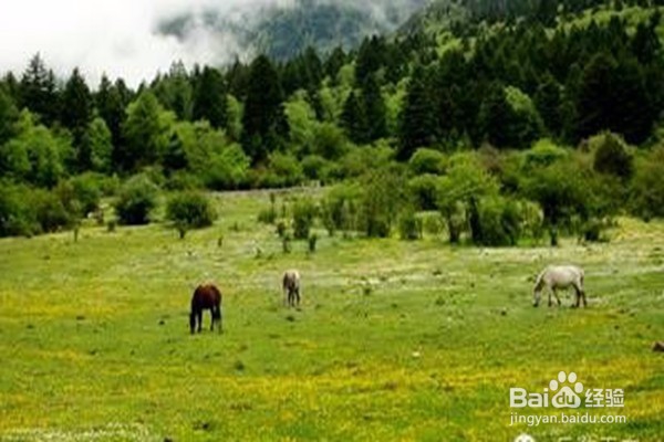 夏天四川的避暑胜地攻略