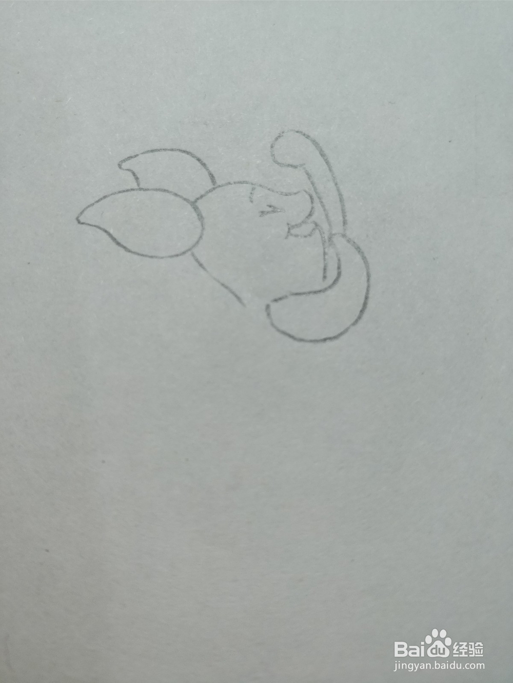 简笔画画卡通维尼熊的朋友——小猪