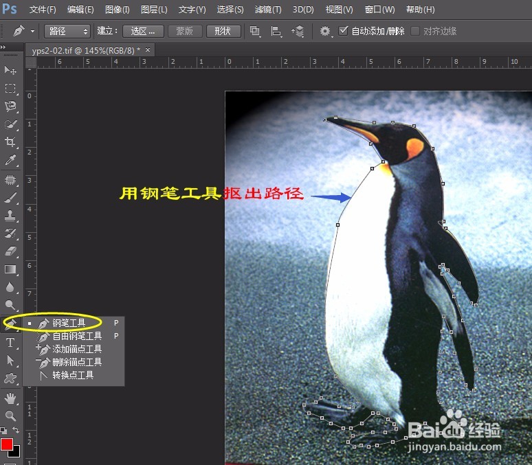 PS实例:抠图方法、技巧集合(二)