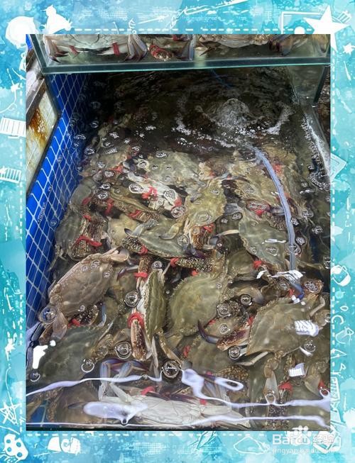 连云港连岛之旅