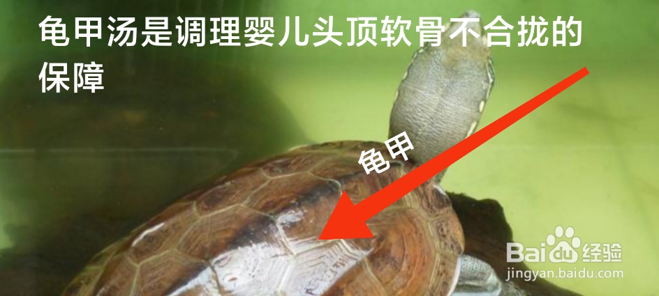 婴儿头顶软骨不合拢怎么调理