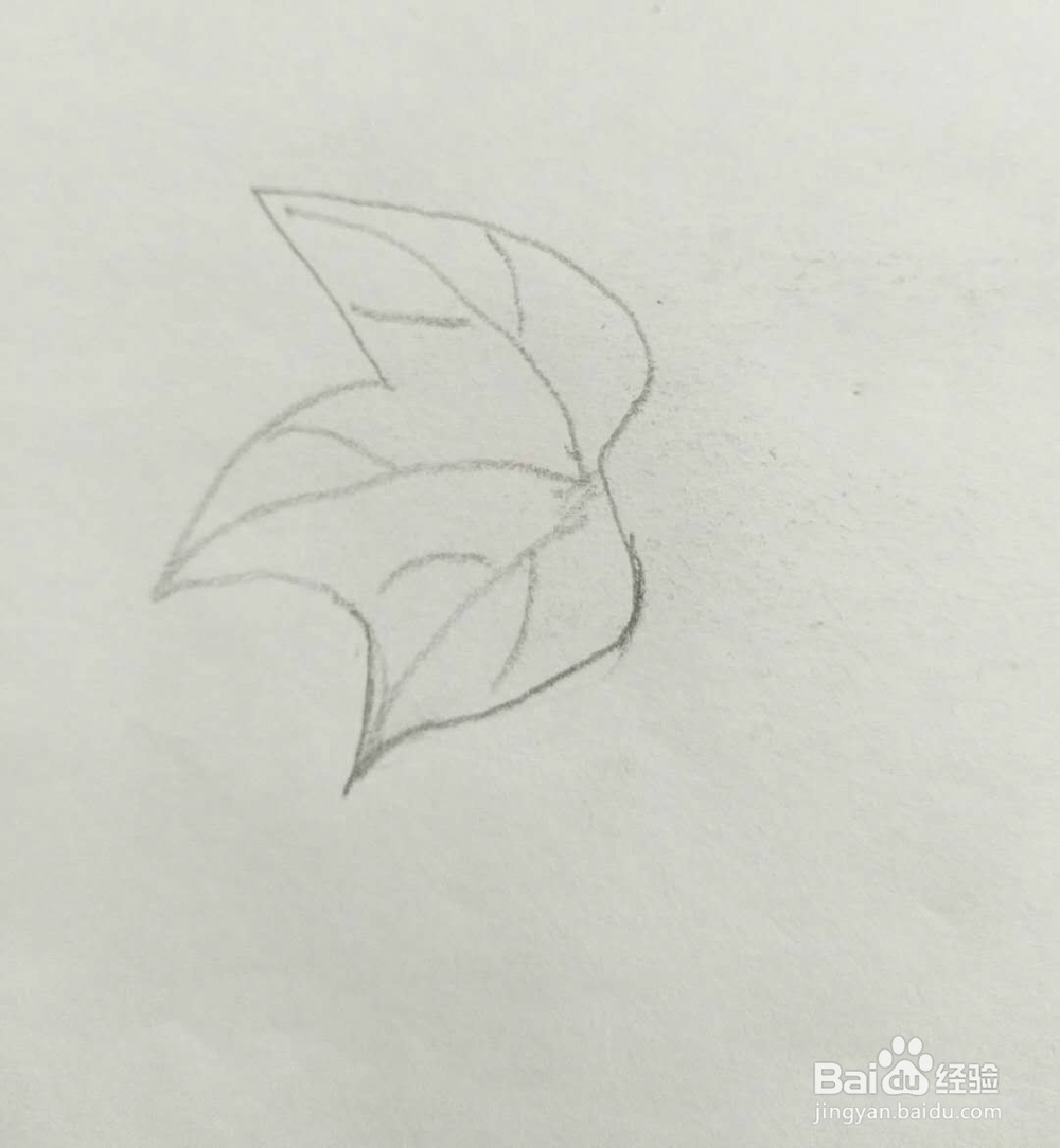 简笔画黄瓜怎么画呢