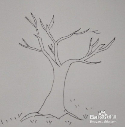 用秋天的叶子做手工