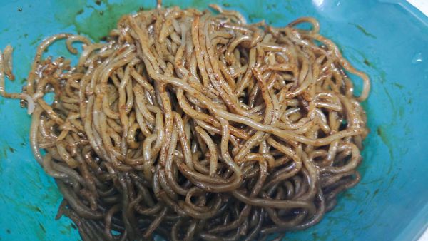 韮菜鸡蛋豆芽炒粉条