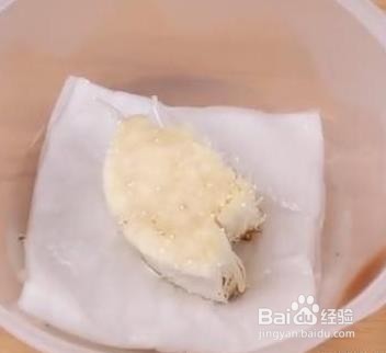 金针菇头再次生长出来的小妙招